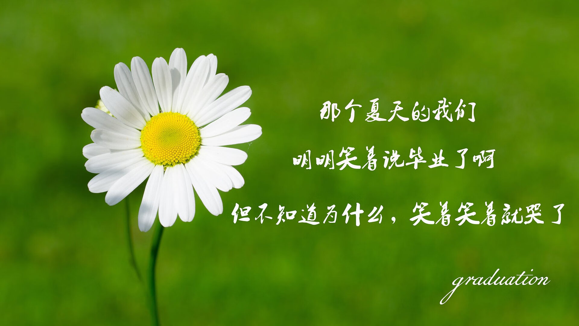KAIYUN 中国大陆-_虚拟实境极限攀岩：精准操作突破极限_，真实攀岩游戏