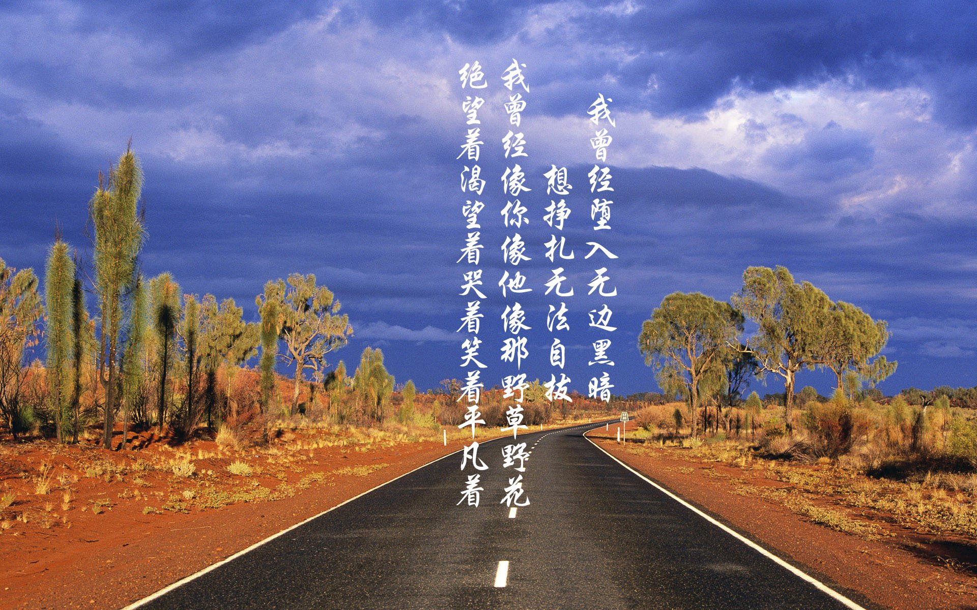 维达德卡萨布兰卡签约新外援，增强进攻实力，达维德卡拉布里亚