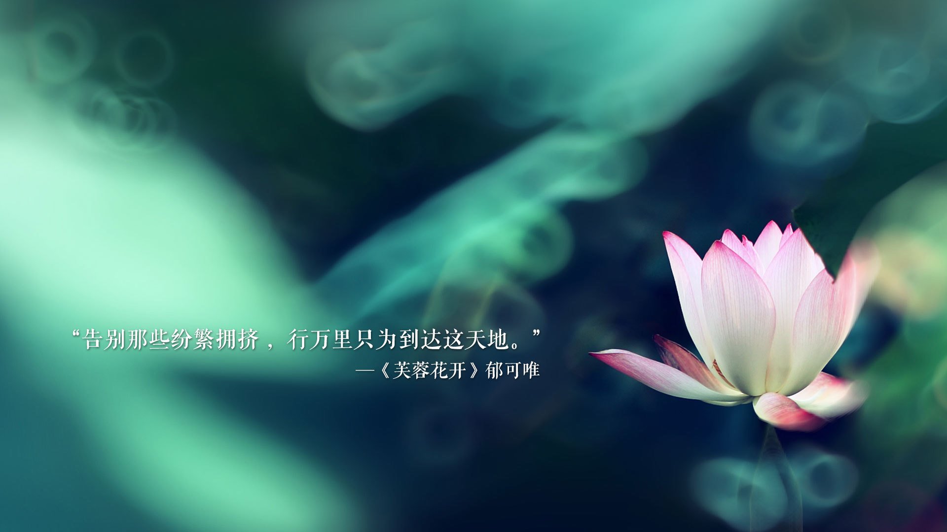 中超联赛新星涌现数据研究，中超新冠军