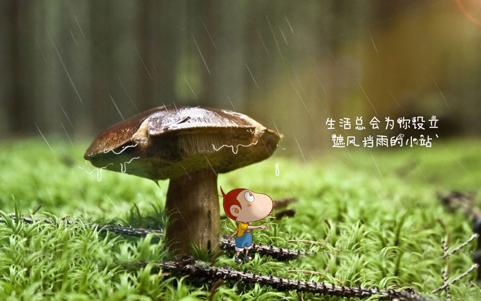 国际乒联混合团体世界杯：加拿大队的崛起与突破，加拿大乒乓球外援