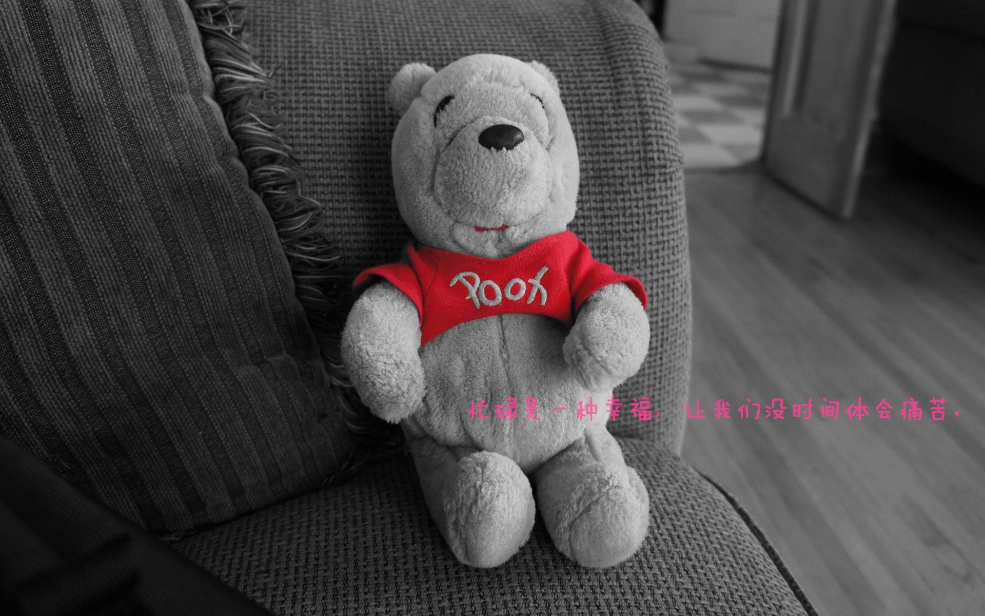 帕利斯特稳健发挥赢得掌声不断,帕利斯把写有给最美的女神