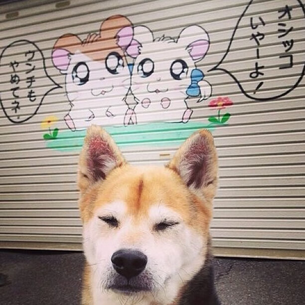 滑行段技术效率提升明显，滑行项目