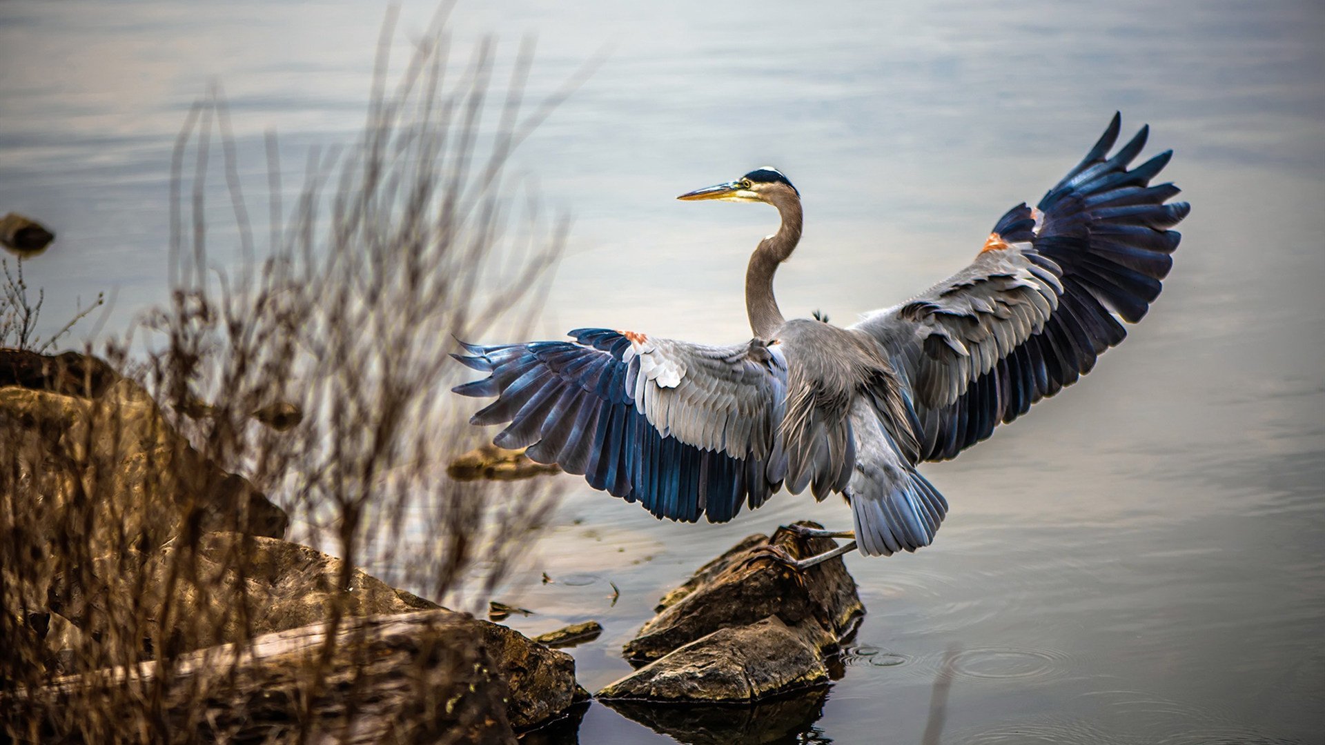 kaiyun体育综合-男篮青年联赛吸引多家俱乐部球探现场考察，青年男子篮球锦标赛