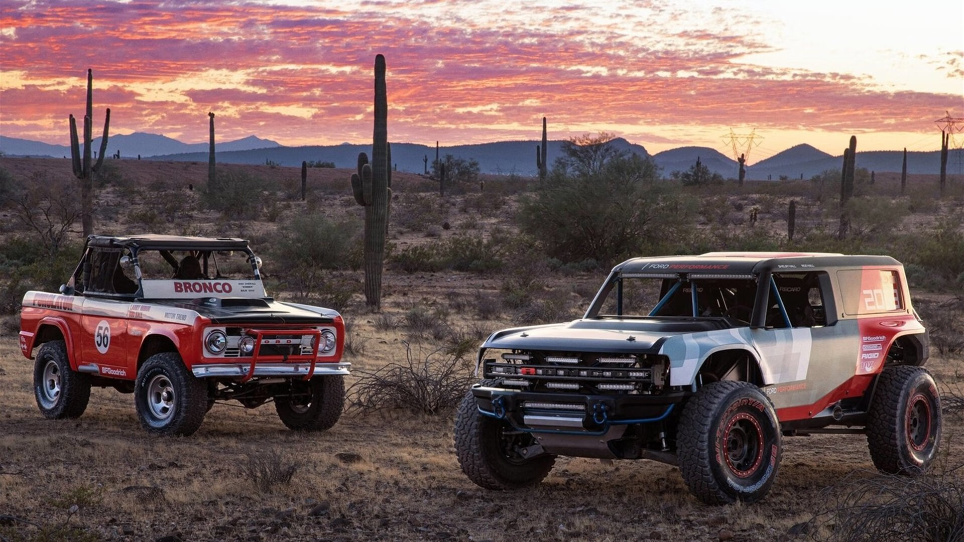 kaiyun官方网站-蝶泳赛事韩国发挥稳定，韩国蝶泳教学视频高清