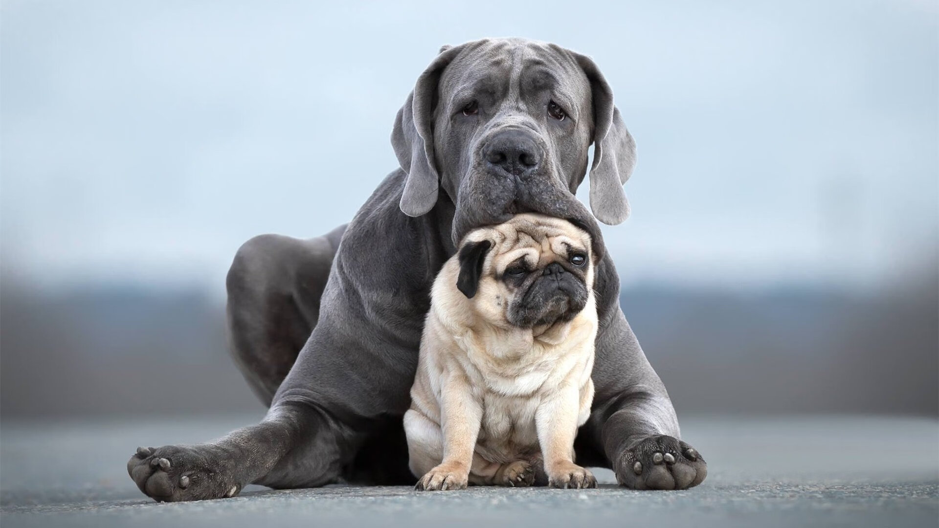 kaiyun开云·官方网站-青少年训练营引入国际教练丰富教学内容拓宽战术视野，青少年训练营是什么