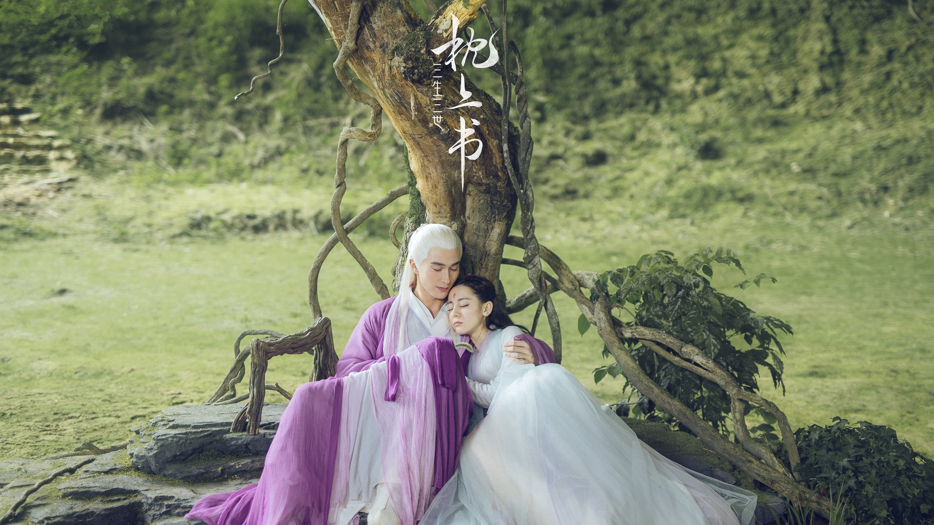 kaiyun.com-青年赛事吸引大批观众关注体育后备力量引发热议，体育界青年